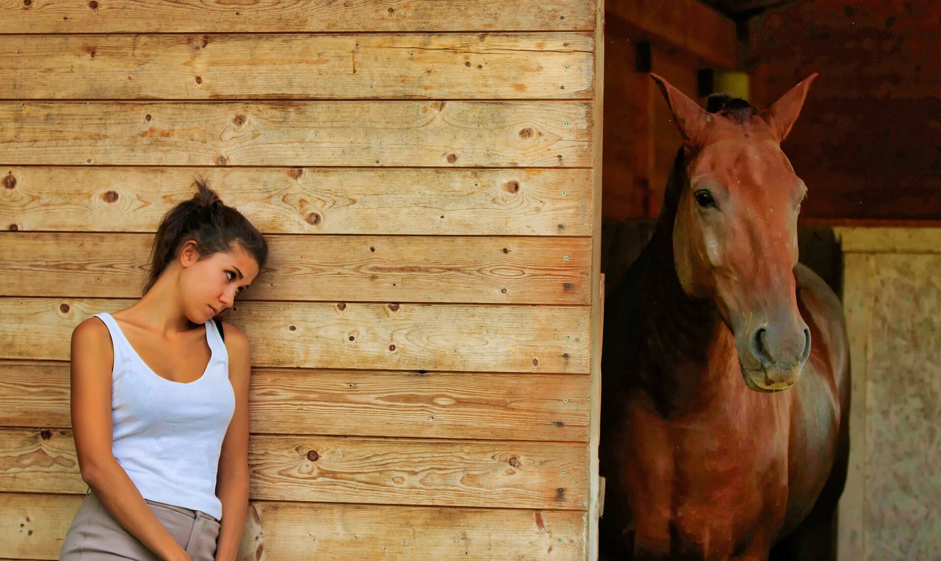 Bien débuter l'équitation : Les fondamentaux à savoir !